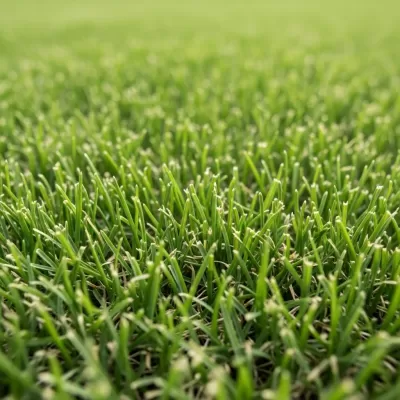 Imagen PNG para descargar